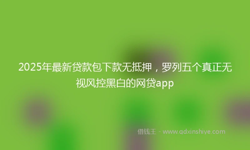 2025年最新贷款包下款无抵押，罗列五个真正无视风控黑白的网贷app