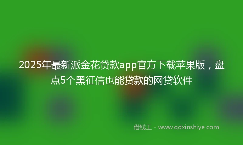 2025年最新派金花贷款app官方下载苹果版，盘点5个黑征信也能贷款的网贷软件