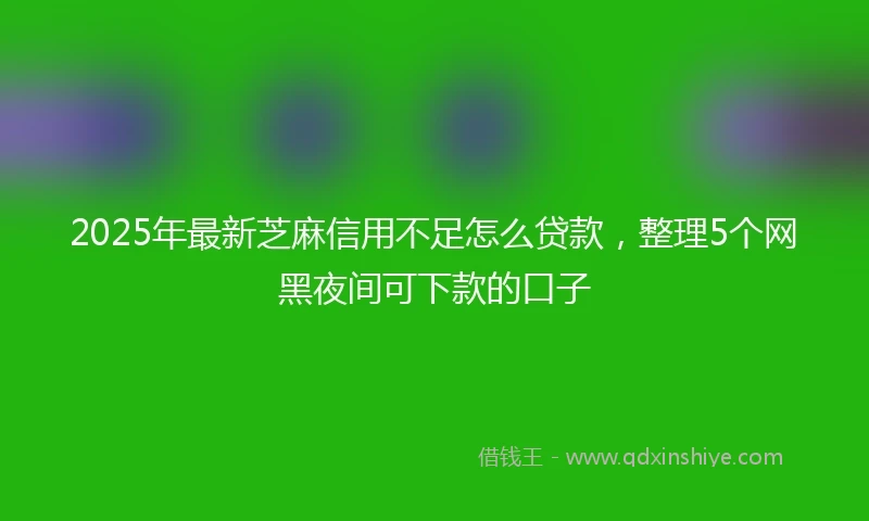 2025年最新芝麻信用不足怎么贷款，整理5个网黑夜间可下款的口子