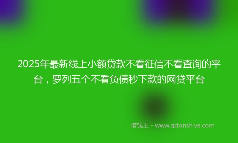 2025年最新线上小额贷款不看征信不看查询的平台，罗列五个不看负债秒下款的网贷平台