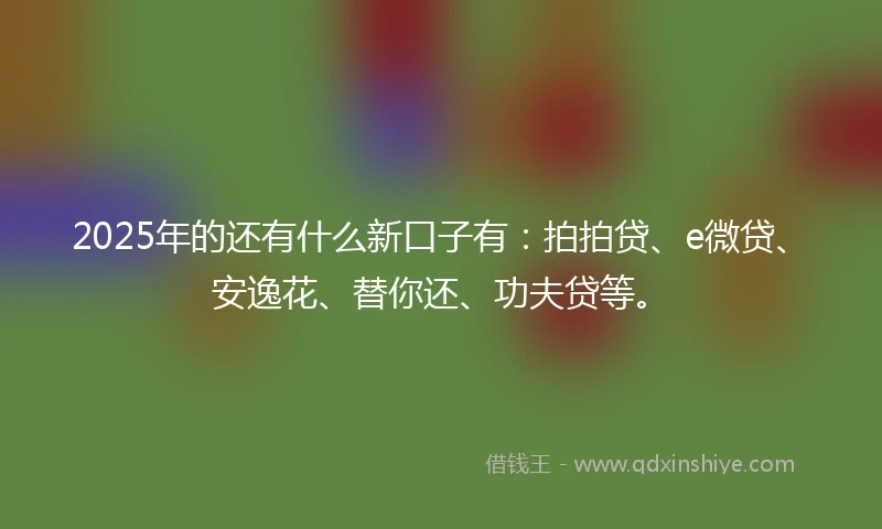 2025年的还有什么新口子有:拍拍贷、e微贷、安逸花、替你还、功夫贷等。