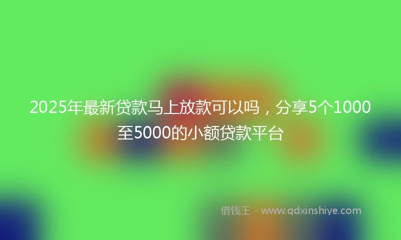 2025年最新贷款马上放款可以吗，分享5个1000至5000的小额贷款平台