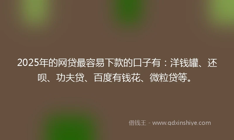 2025年的网贷最容易下款的口子有：洋钱罐、还呗、功夫贷、百度有钱花、微粒贷等。