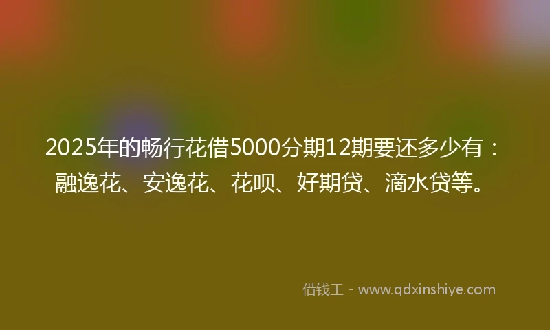 2025年的畅行花借5000分期12期要还多少有：融逸花、安逸花、花呗、好期贷、滴水贷等。