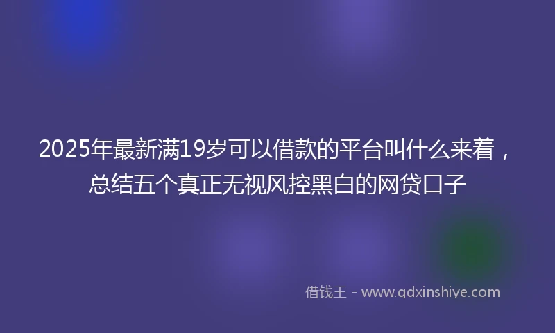 2025年最新满19岁可以借款的平台叫什么来着，总结五个真正无视风控黑白的网贷口子