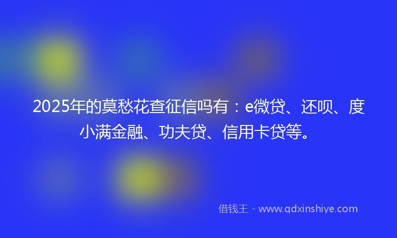 2025年的莫愁花查征信吗有：e微贷、还呗、度小满金融、功夫贷、信用卡贷等。