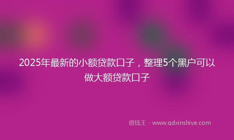 2025年最新的小额贷款口子，整理5个黑户可以做大额贷款口子