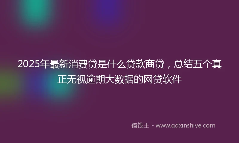 2025年最新消费贷是什么贷款商贷，总结五个真正无视逾期大数据的网贷软件