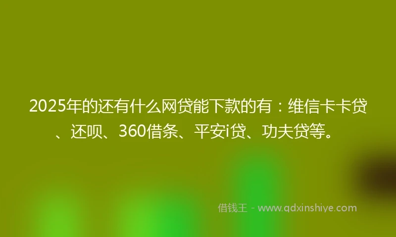 2025年的还有什么网贷能下款的有:维信卡卡贷、还呗、360借条、平安i贷、功夫贷等。