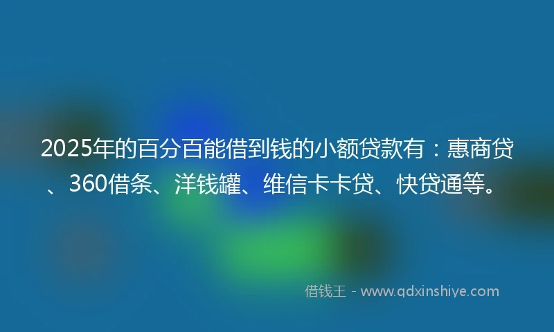 2025年的百分百能借到钱的小额贷款有：惠商贷、360借条、洋钱罐、维信卡卡贷、快贷通等。