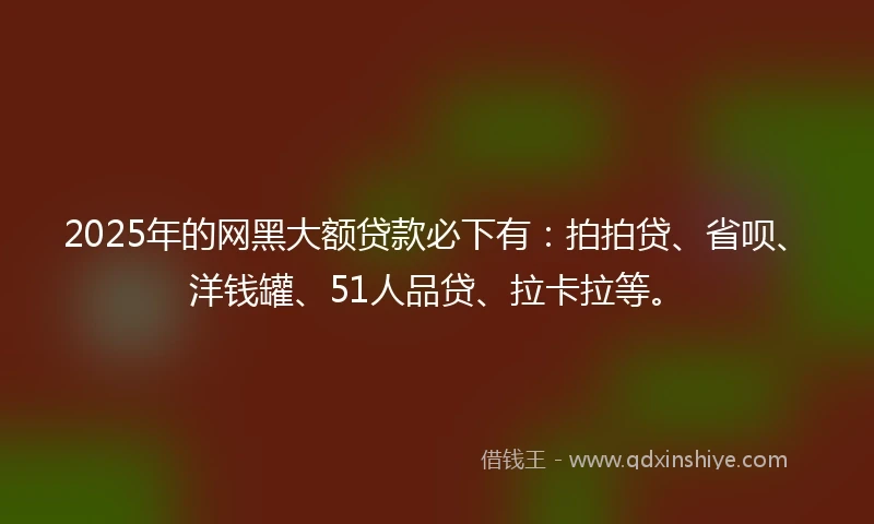 2025年的网黑大额贷款必下有：拍拍贷、省呗、洋钱罐、51人品贷、拉卡拉等。
