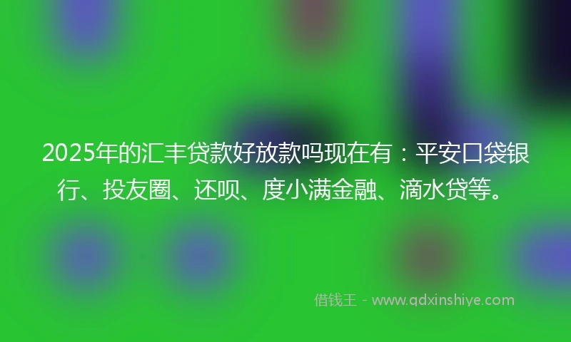 2025年的汇丰贷款好放款吗现在有：平安口袋银行、投友圈、还呗、度小满金融、滴水贷等。