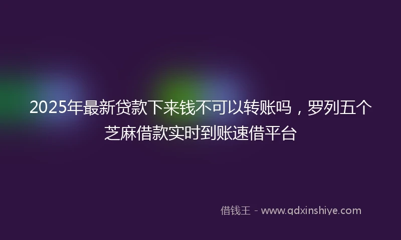 2025年最新贷款下来钱不可以转账吗，罗列五个芝麻借款实时到账速借平台