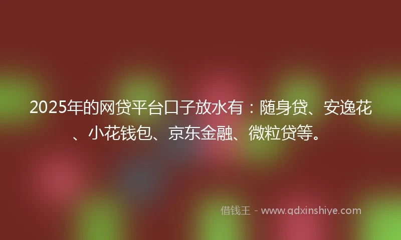 2025年的网贷平台口子放水有：随身贷、安逸花、小花钱包、京东金融、微粒贷等。