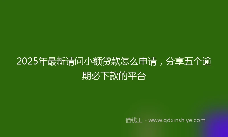 2025年最新请问小额贷款怎么申请，分享五个逾期必下款的平台