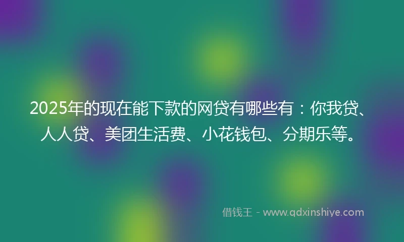 2025年的现在能下款的网贷有哪些有：你我贷、人人贷、美团生活费、小花钱包、分期乐等。