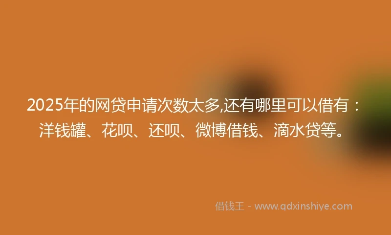 2025年的网贷申请次数太多,还有哪里可以借有：洋钱罐、花呗、还呗、微博借钱、滴水贷等。