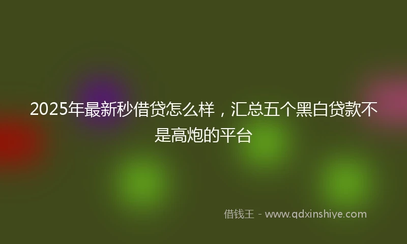 2025年最新秒借贷怎么样，汇总五个黑白贷款不是高炮的平台