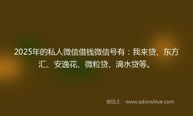 2025年的私人微信借钱微信号有：我来贷、东方汇、安逸花、微粒贷、滴水贷等。