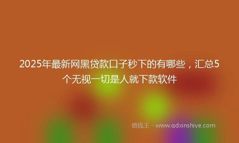 2025年最新网黑贷款口子秒下的有哪些，汇总5个无视一切是人就下款软件