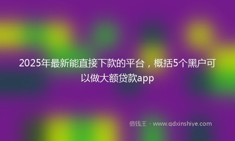 2025年最新能直接下款的平台，概括5个黑户可以做大额贷款app