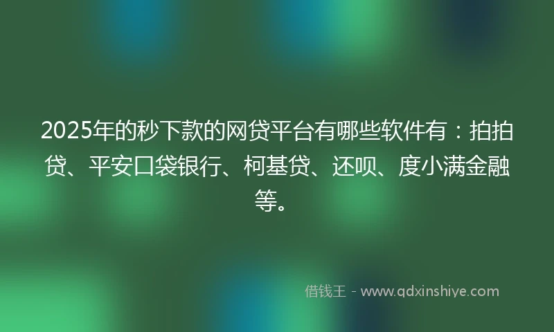 2025年的秒下款的网贷平台有哪些软件有：拍拍贷、平安口袋银行、柯基贷、还呗、度小满金融等。