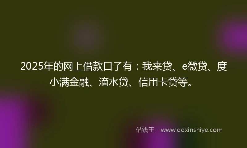 2025年的网上借款口子有：我来贷、e微贷、度小满金融、滴水贷、信用卡贷等。