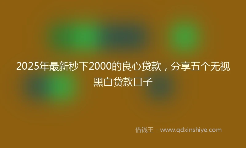 2025年最新秒下2000的良心贷款，分享五个无视黑白贷款口子