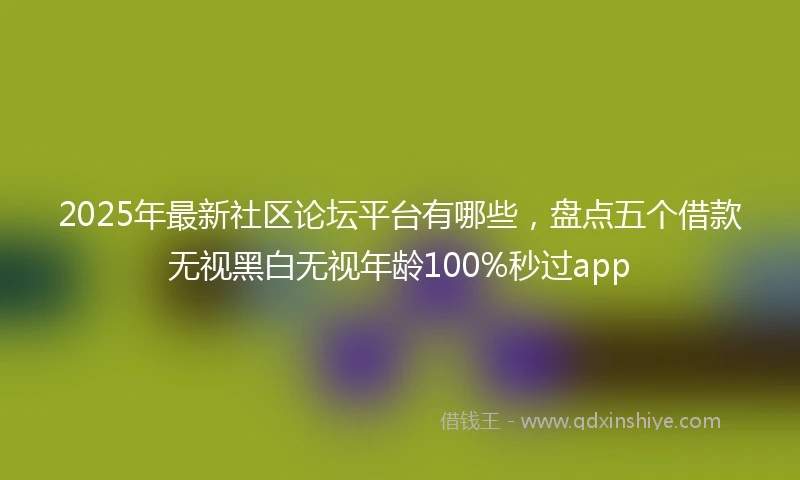 2025年最新社区论坛平台有哪些，盘点五个借款无视黑白无视年龄100%秒过app