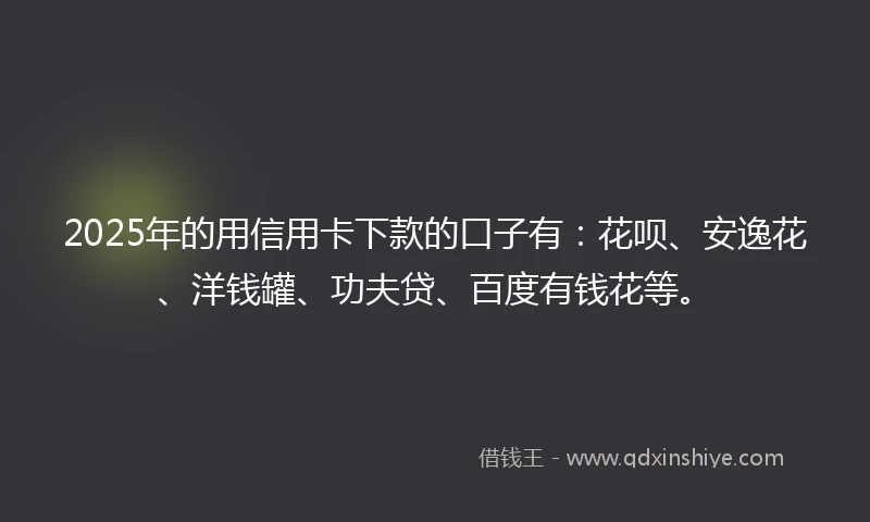 2025年的用信用卡下款的口子有：花呗、安逸花、洋钱罐、功夫贷、百度有钱花等。