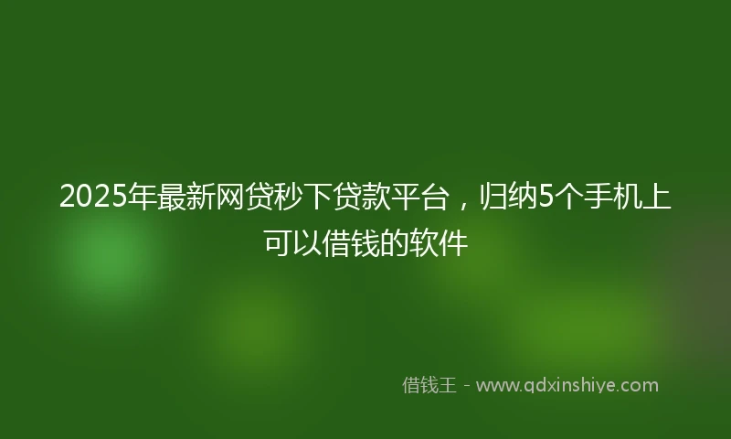 2025年最新网贷秒下贷款平台，归纳5个手机上可以借钱的软件