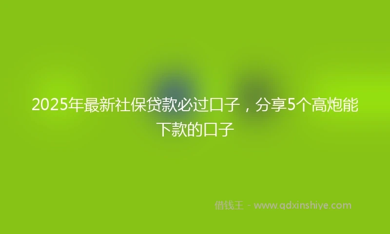 2025年最新社保贷款必过口子，分享5个高炮能下款的口子