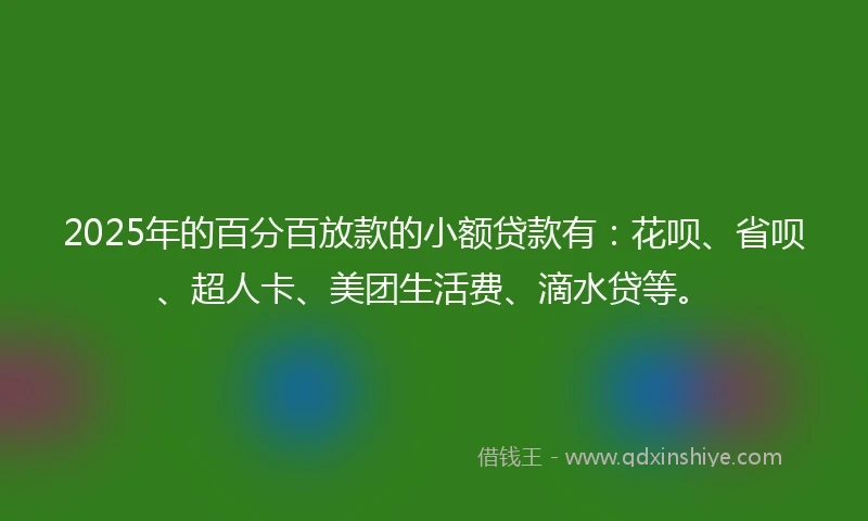2025年的百分百放款的小额贷款有：花呗、省呗、超人卡、美团生活费、滴水贷等。