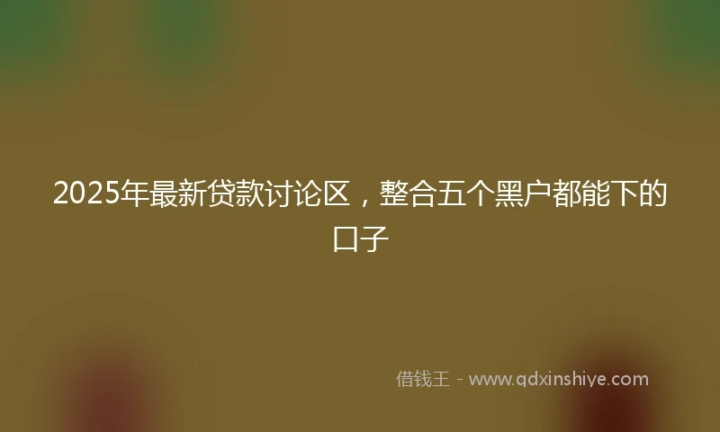 2025年最新贷款讨论区，整合五个黑户都能下的口子
