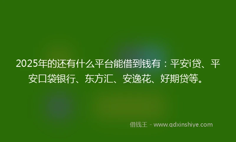 2025年的还有什么平台能借到钱有：平安i贷、平安口袋银行、东方汇、安逸花、好期贷等。