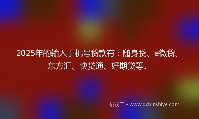 2025年的输入手机号贷款有：随身贷、e微贷、东方汇、快贷通、好期贷等。