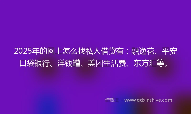 2025年的网上怎么找私人借贷有:融逸花、平安口袋银行、洋钱罐、美团生活费、东方汇等。