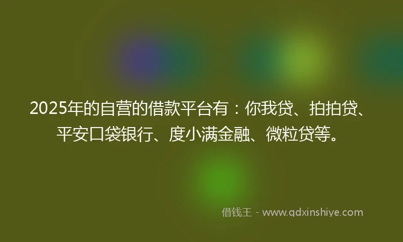 2025年的自营的借款平台有：你我贷、拍拍贷、平安口袋银行、度小满金融、微粒贷等。