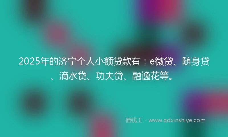 2025年的济宁个人小额贷款有：e微贷、随身贷、滴水贷、功夫贷、融逸花等。