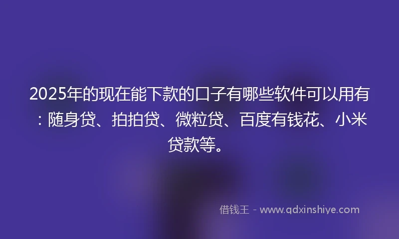 2025年的现在能下款的口子有哪些软件可以用有：随身贷、拍拍贷、微粒贷、百度有钱花、小米贷款等。