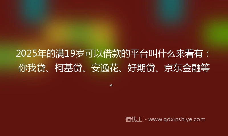 2025年的满19岁可以借款的平台叫什么来着有：你我贷、柯基贷、安逸花、好期贷、京东金融等。