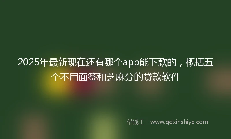 2025年最新现在还有哪个app能下款的，概括五个不用面签和芝麻分的贷款软件