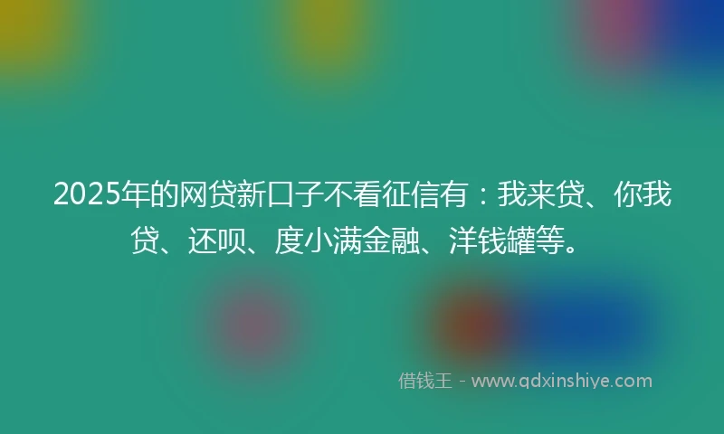 2025年的网贷新口子不看征信有：我来贷、你我贷、还呗、度小满金融、洋钱罐等。