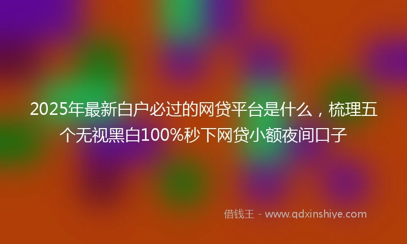 2025年最新白户必过的网贷平台是什么，梳理五个无视黑白100%秒下网贷小额夜间口子