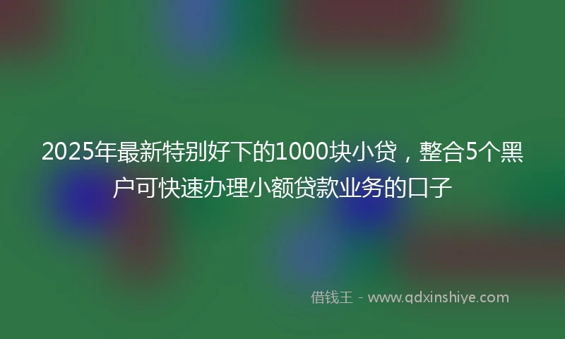 2025年最新特别好下的1000块小贷，整合5个黑户可快速办理小额贷款业务的口子