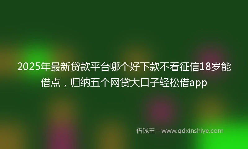 2025年最新贷款平台哪个好下款不看征信18岁能借点，归纳五个网贷大口子轻松借app
