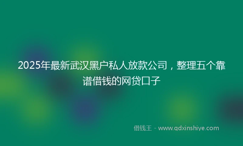 2025年最新武汉黑户私人放款公司，整理五个靠谱借钱的网贷口子