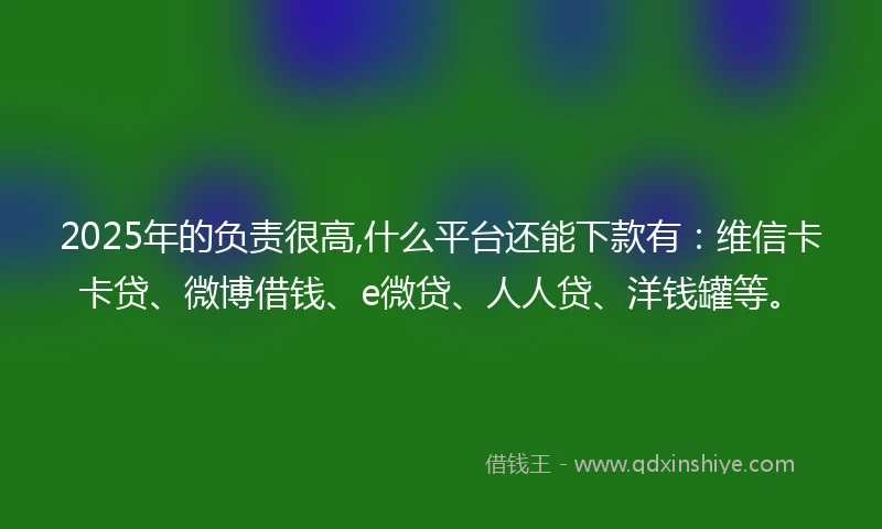 2025年的负责很高,什么平台还能下款有：维信卡卡贷、微博借钱、e微贷、人人贷、洋钱罐等。