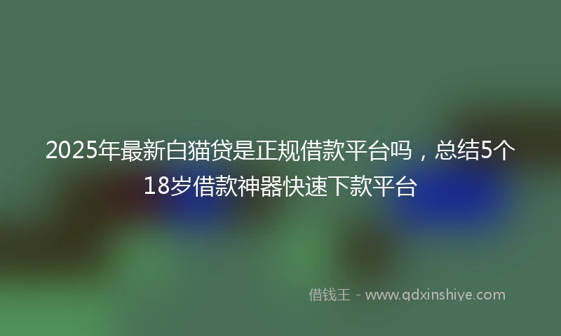 2025年最新白猫贷是正规借款平台吗，总结5个18岁借款神器快速下款平台