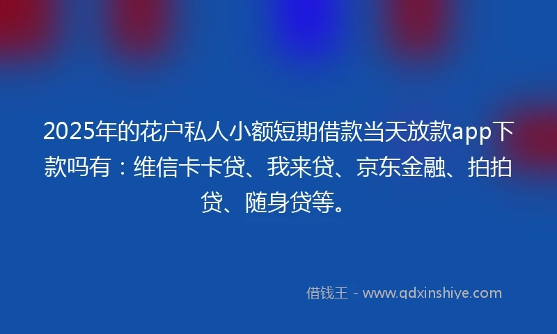 2025年的花户私人小额短期借款当天放款app下款吗有：维信卡卡贷、我来贷、京东金融、拍拍贷、随身贷等。